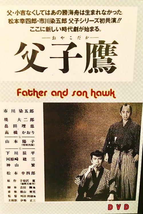 Father and Son Hawk poster