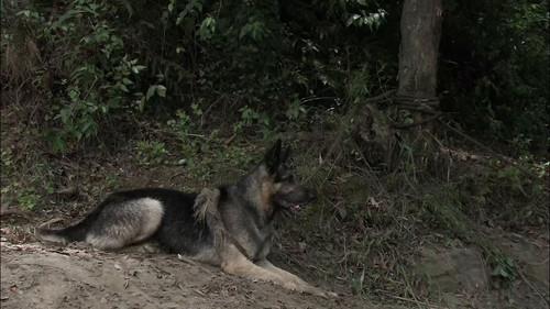 My Chief and My Regiment Season 1 Episode 24 - Episode 24