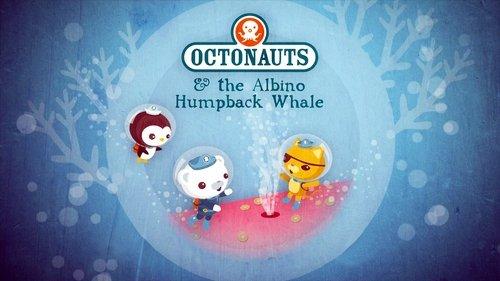 Octonauts Season 1 Episode 14 - The Albino Humpback Whale