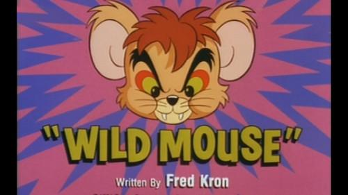 Tom & Jerry Kids Show Season 2 Episode 21 - Wild Mouse