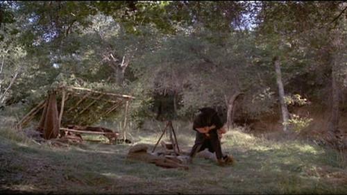 Background image for An Arrow Pointing East