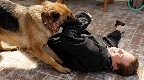 undefined Season 5 Episode 13 - Dog Tags