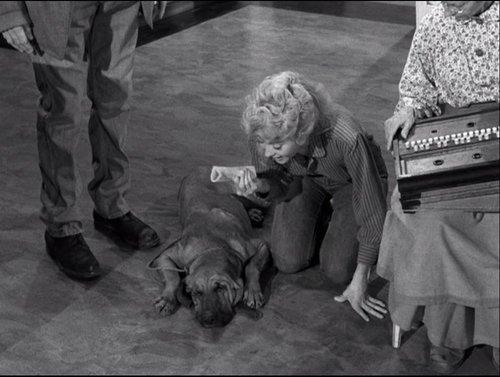 The Beverly Hillbillies Season 1 Episode 22 - Duke Steals a Wife