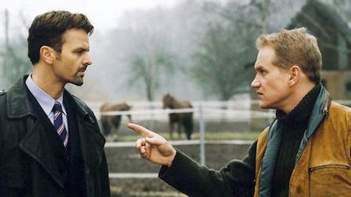 In aller Freundschaft Season 6 Episode 19 - Episode 19