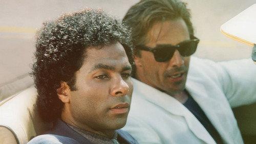 Who Can Forget? Season 5 Episode 2 - Who Can Forget? 1984