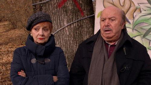 Background image for Save the forest! / Rocco 2 - The return