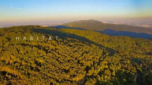 Habitat Season 1 Episode 3 - Episode 3