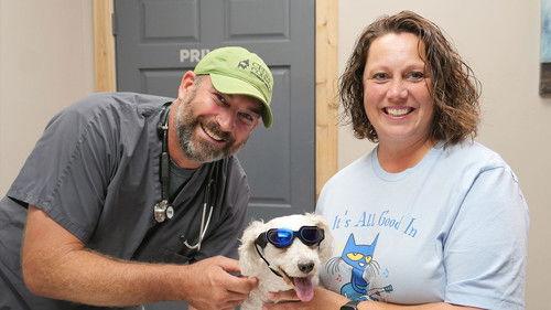 Background image for Heart and Foal