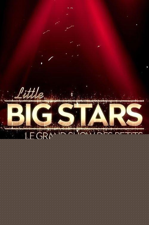 Little Big Stars FR poster