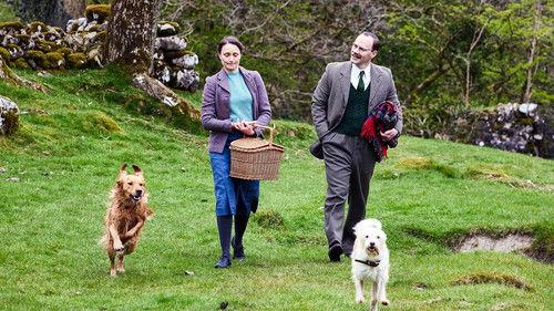 Background image for What a Balls Up!