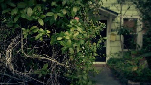 A Time to Kill Season 1 Episode 8 - The Missing Hotelier