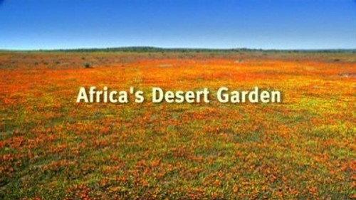 Natural World Season 25 Episode 6 - Africa's Desert Garden