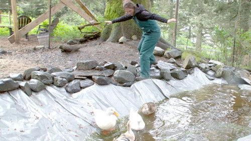 Dr. Oakley, Yukon Vet Season 10 Episode 9 - Duck Duck Chicken