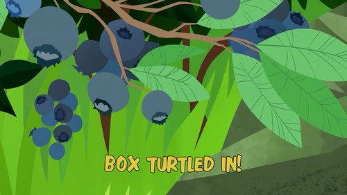 Wild Kratts Season 4 Episode 3 - Box Turtled In!