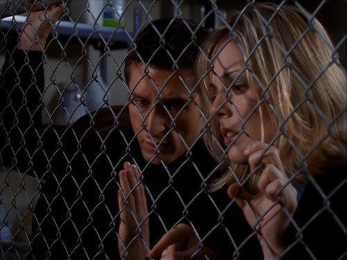 Seven Days Season 3 Episode 11 - Head Case