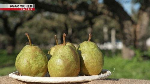 Trails to Oishii Tokyo Season 7 Episode 1 - PEAR