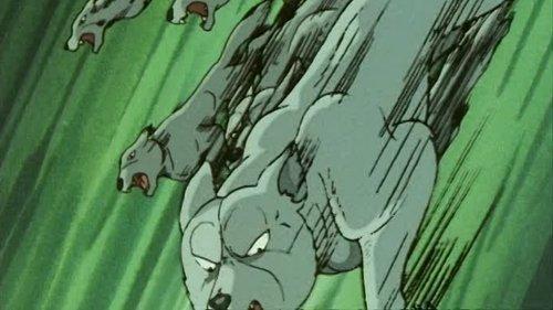 Silver Fang: The Shooting Star Gin Season 1 Episode 12 - Ben in Danger! The Confrontation in the Ninja Territory!