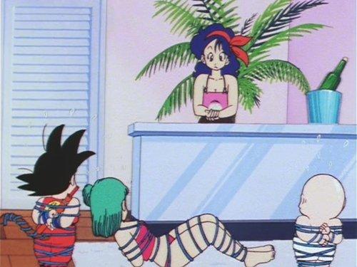 Dragon Ball Season 1 Episode 55 - Penguin Village