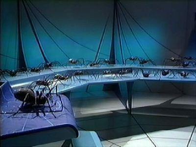 undefined Season 11 Episode 23 - Planet of the Spiders (3)