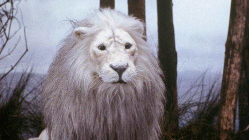 undefined Season 1 Episode 9 - The True Bride