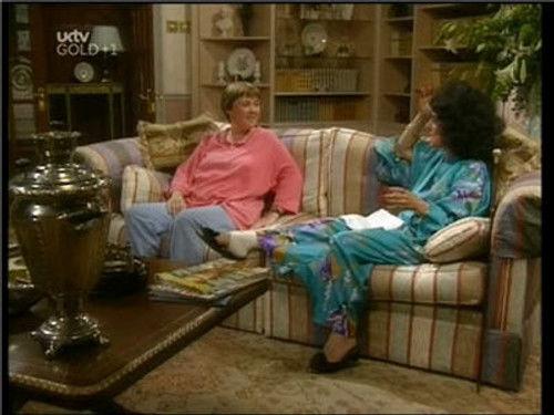 Birds of a Feather Season 2 Episode 15 - Someone Else's Baby