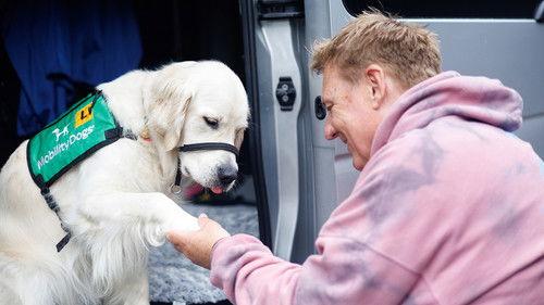 Dog Squad Puppy School Season 4 Episode 3 - Episode 3