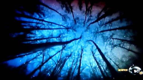 The Unexplained Files Season 1 Episode 1 - Missing Pilot + Texas Blue Dogs