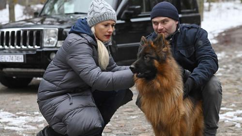 Komisarz Alex Season 19 Episode 1 - Episode 1