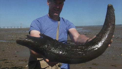 The Proof Is Out There Season 4 Episode 2 - UFO Over the Andes, the Ohio Grassman, and Ancient Horn Mystery