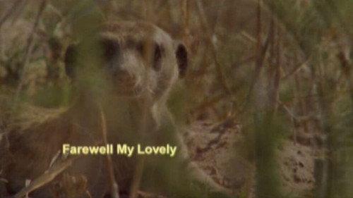 Meerkat Manor Season 3 Episode 10 - Farewell, My Lovely