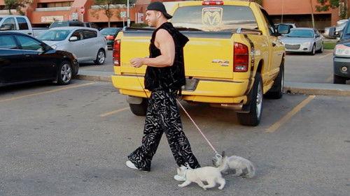 Dangerous Breed: Crime. Cons. Cats. Season 1 Episode 1 - Part 1: A Tall Tail