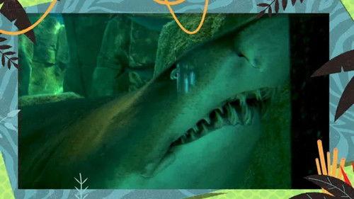 Kukurota Season 4 Episode 10 - Episode 10