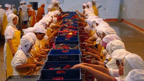 How Do They Do It? Season 10 Episode 6 - Sardines, Piaggio Scooters, Erector Sets