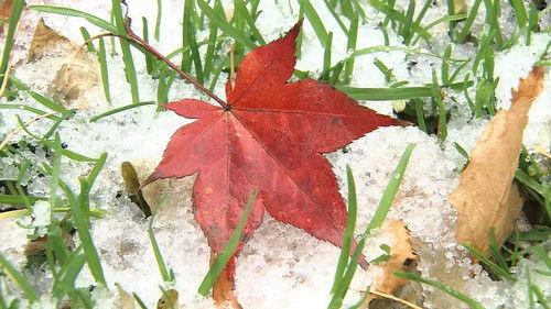 Magical Japanese Season 2 Episode 3 - Snow