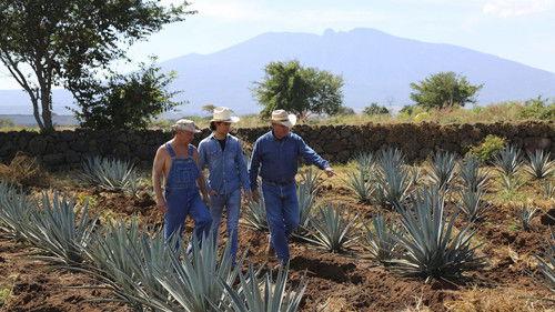 Moonshiners Season 11 Episode 13 - Moonshine of Mexico