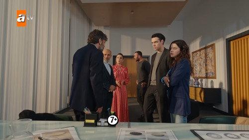 Street Birds Season 2 Episode 12 - Episode 33