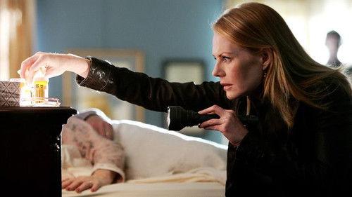 CSI: Crime Scene Investigation Season 8 Episode 15 - The Theory of Everything
