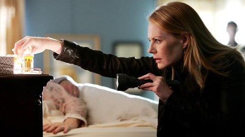 undefined Season 8 Episode 15 - The Theory of Everything