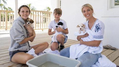 Island of Bryan Season 3 Episode 10 - The Sleeping Giant