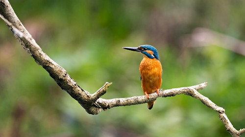 Springwatch Season 21 Episode 3 - Episode 3