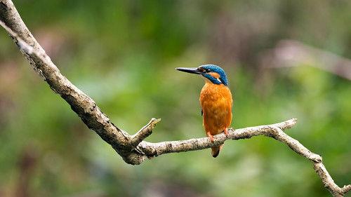 Springwatch Season 21 Episode 3 - Episode 3