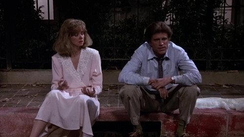 Cheers Season 5 Episode 14 - Diamond Sam