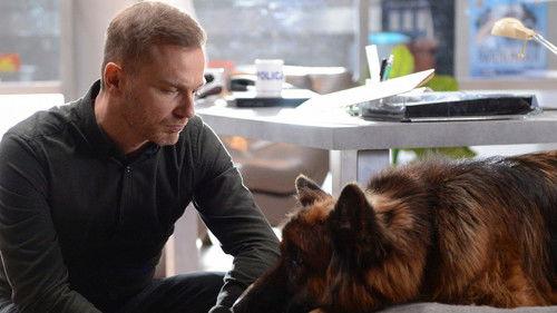 Komisarz Alex Season 9 Episode 10 - Episode 10