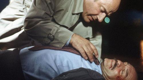 Scene of the Crime Season 21 Episode 1 - Episode 1