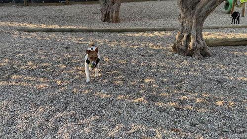 Neighborhood Wars Season 3 Episode 6 - Two Full Moons