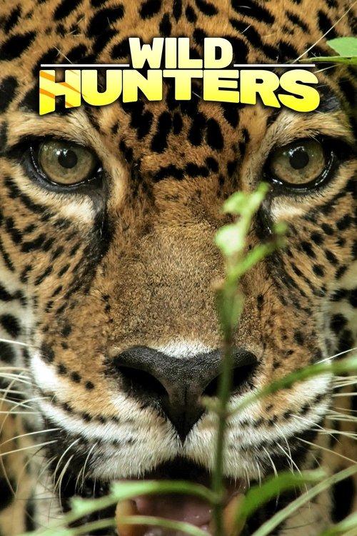 Wild Hunters poster