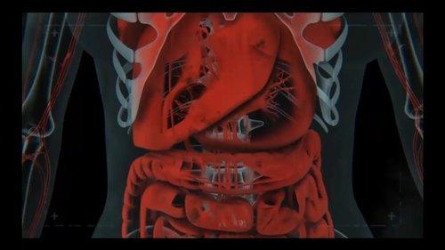 1000 Ways to Die Season 3 Episode 27 - Eat, Pray Die