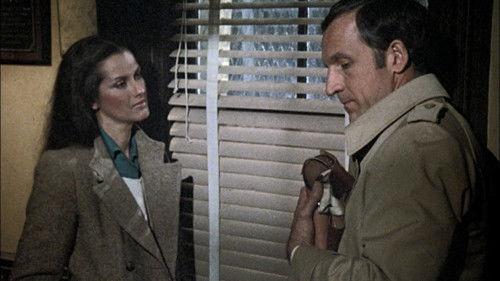 Hill Street Blues Season 2 Episode 14 - The Young, the Beautiful and the Degraded
