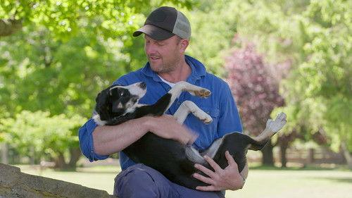 Muster Dogs Season 2 Episode 2 - Episode 2