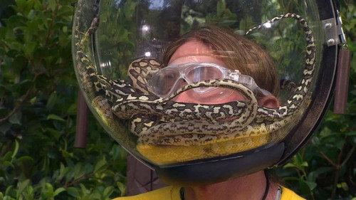 I'm a Celebrity...Get Me Out of Here! Season 19 Episode 3 - Face Your Fears